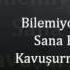 BILEMIYORUM SANA BEN KAVUŞURMUYUM By Serhat