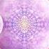 Skizologic Filteria Fabric Of Space