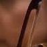 Vivaldi La Sena Festeggiante Sinfonia RV 693 Il Giardino Armonico