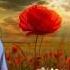 Abide With Me Remembrance Day