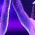 Chloe X Halle Light Up The Stage With Soulful Performance At MTV Movie TV