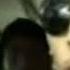 Gor Hakobyan Menter YouTubeAM ProjectTV