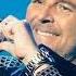 Modern Talking Arabian Gold