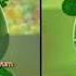 Gummy Bear Vs Kummipea Backwards
