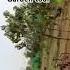 Herbal Garden Ayurveda Bams Bbam Clg
