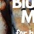 Best Blueberry Muffins Easy Recipe For Back To School