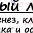 Острый лейкоз патогенез клинические проявления гемограмма