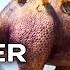 Minions TRAILER 1 2015 Steve Carell Sandra Bullock Movie HD