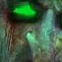 SCARY WITCH Dead Realm