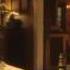 Smallville Memories Erica Durance