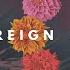 Free Animal Slowed Reverb