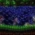 Sonic Wasn T Fast Enough But It S Movie Voices AI Vocoded To Gangsta S Paradise