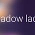 Shadow Lady Animation Meme