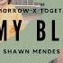 TXT Tomorrow X Together Vs Shawn Mendes In My Blood