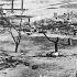 U S Marks 100th Anniversary Of Tulsa Race Massacre When White Mob Destroyed Black Wall Street