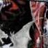 Castlevania Harmony Of Dissonance OST 9 Chapel Of Dissonance