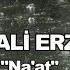 DURSUN ALİ ERZİNCANLI NA AT