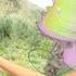 Winx Club Discovering Italy S Magic The Gold Of Venafro Episode 3