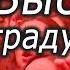 Профессор мгимо Валентин Катасонов Абсолютно не готовы к этим вызовам Катасонов видео последнее