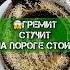 На пороге твоя судьба Гадание на кофе