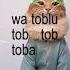 Tobi Tob Tabi Tob Tob Cat Goofy Cats Memes Ramadan