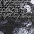 Quannnic X Novulent X Heavy Shoegaze X Emotional Alt Rock Type Beat Dive
