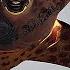 Prince Puma Ricochet Dream Catcher