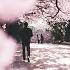 Newage Piano Music Our Spring Will Be Royalty Free Music