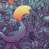 Photon Belt Fungus Funk Remix