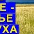 Марафон Легкое дыхание здоровье из воздуха Занятие 6