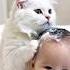 Adorable Cats Bathing Their Babies The Cutest Moments Ever