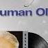 Adnan Şenses Duman Oldum Official Audio Orijinal Plak Kayıtları Remastered