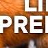Predators Vs Prey The Secrets Of The Animal Kingdom