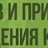 Нарушение кожных покровов и причины повреждения кожи Видеоурок по биологии 8 класс