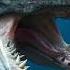 Creatures More Terrifying Than The Megalodon Scientists Don T Want You To Know About