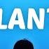 Seafret Atlantis Lyrics