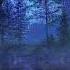 Bandha Van Sandano Relaxing Ambient Music Sleep Music Ambient Study Music