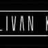 Ray Volpe Laserbeam Sullivan King Remix