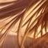 Nightcore Tu Vivi Nell Aria