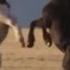 The Rolling Stones Wild Horses Acoustic Version 1995
