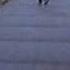 Running Down The Road Being A Savage
