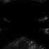 Slavic Cartel Aggressive Trap Music Balkan Slowed Reverb Trap Mafia Slowed Reverb Punxeditx