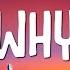Shawn Mendes Why Why Why Lyrics