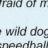 Simple Minds Ghostrider Lyrics