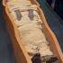 REAL Egyptian Mummy Egyptianmuseum Ancientegypt Museum Ancient History Old Mummification