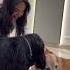 Christmas With My Pet Ft Anushka Sen