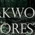 Mirkwood Forest Middle Earth