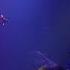 Moments Hollow Coves LIVE