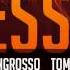 Sebastian Ingrosso Tommy Trash Johnny Beast IgRock John Martin Re Lessness IgRock Mashup