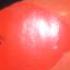 J Latino Sexxx Plastixxx
